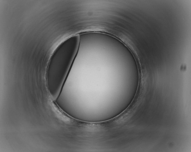 X0000112100797200908041111