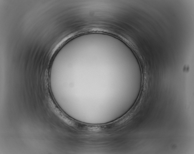 X0000112100798200908041111
