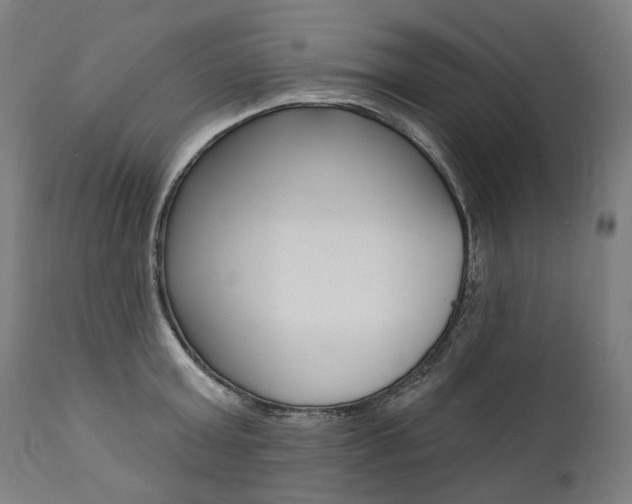 X0000112100803200908041111