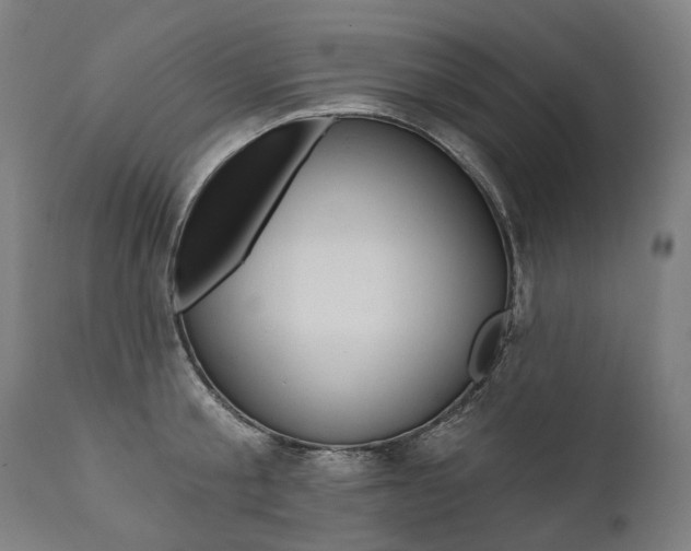 X0000112100805200908041111