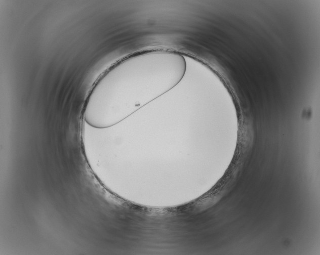 X0000112100807200908041111