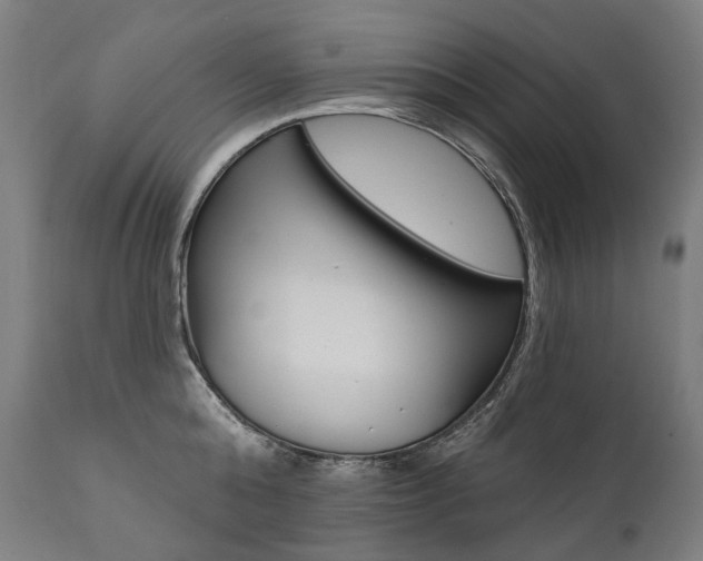 X0000112100808200908041111