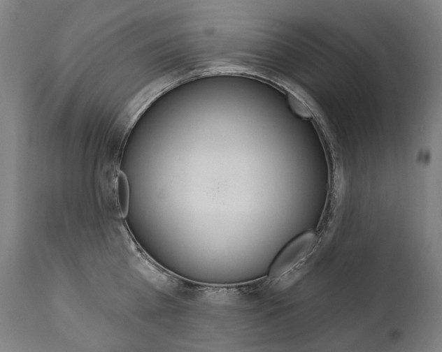 X0000112100809200908041111