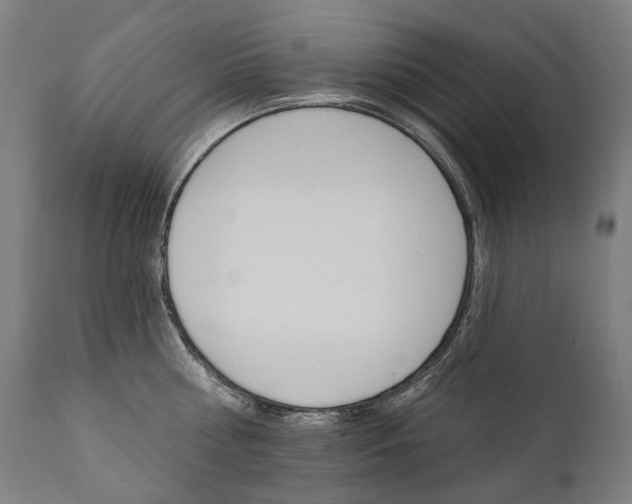 X0000112100810200908041111