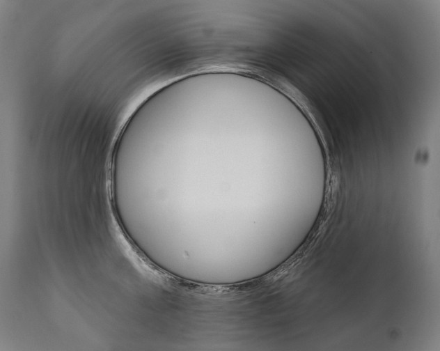 X0000112100811200908041111