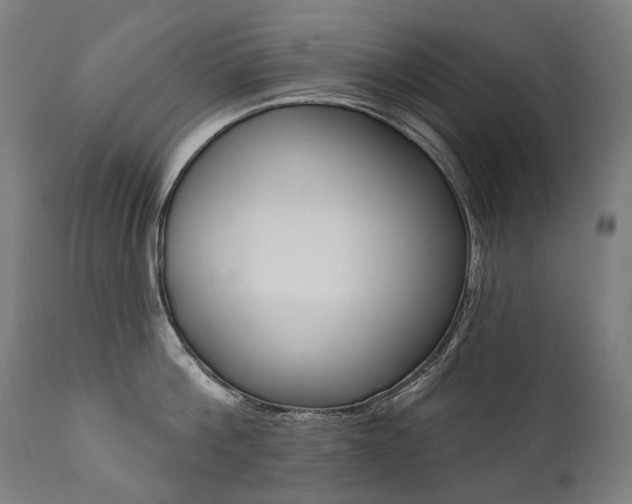 X0000112100812200908041111
