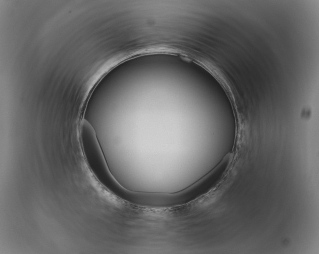 X0000112100813200908041111
