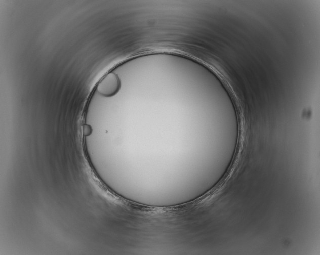 X0000112100814200908041111