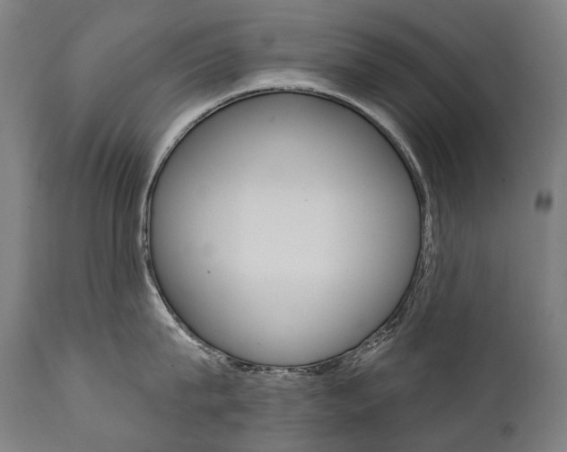 X0000112100815200908041111