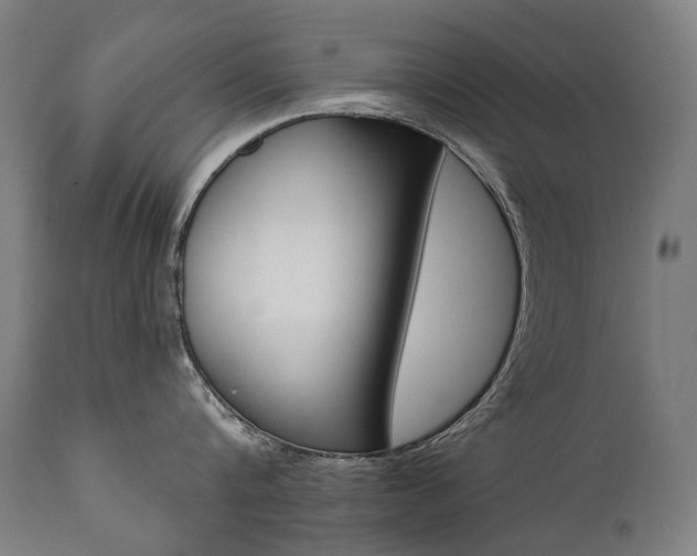 X0000112100816200908041111