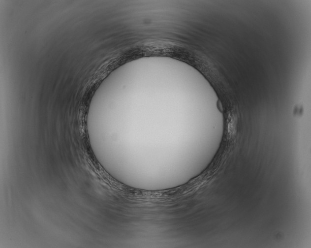 X0000112100819200908041110