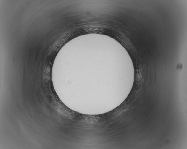 X0000112100820200908041110