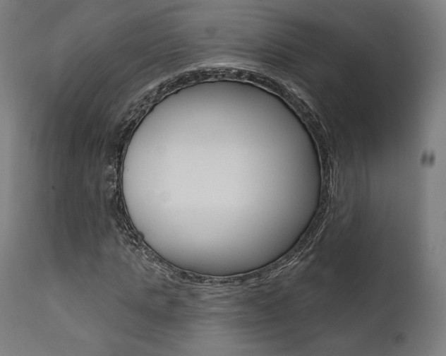X0000112100821200908041110
