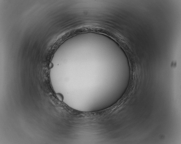X0000112100822200908041110