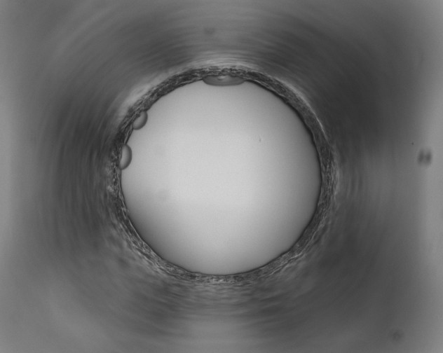 X0000112100823200908041110