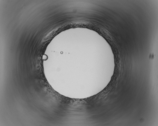 X0000112100824200908041110