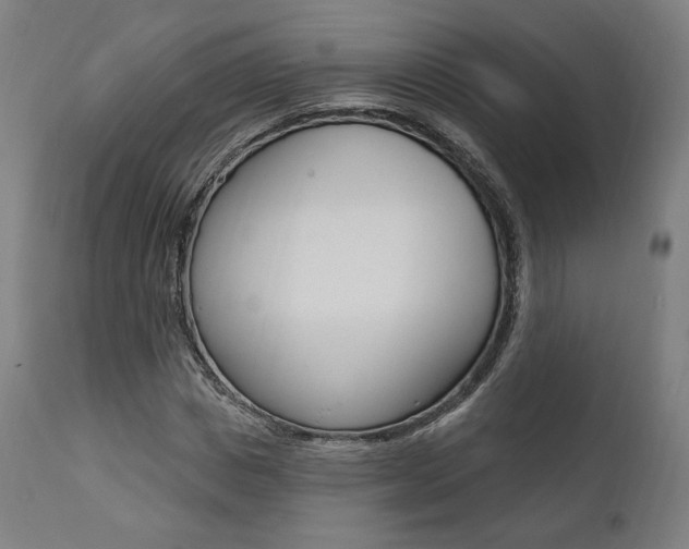 X0000112100825200908041110