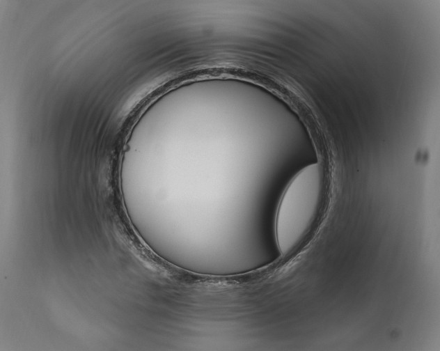X0000112100826200908041110
