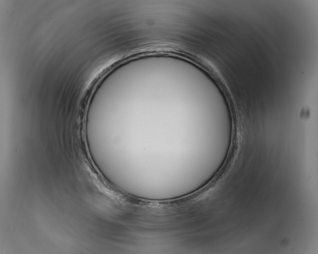 X0000112100827200908041110