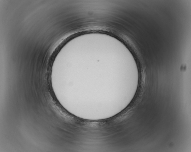 X0000112100828200908041110