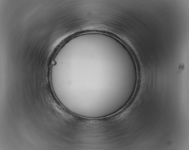 X0000112100830200908041110