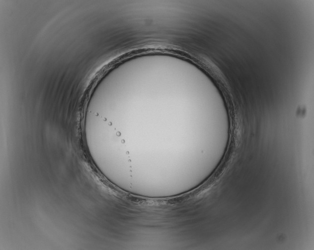 X0000112100831200908041110