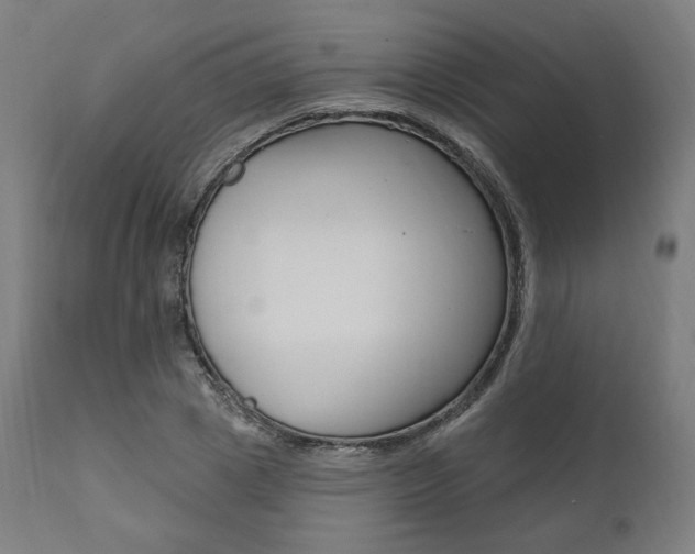 X0000112100833200908041110