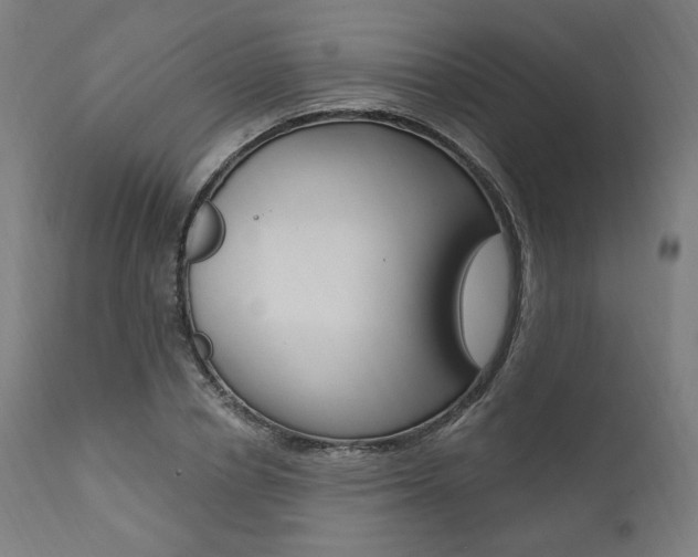 X0000112100834200908041110