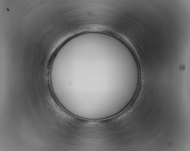 X0000112100835200908041110