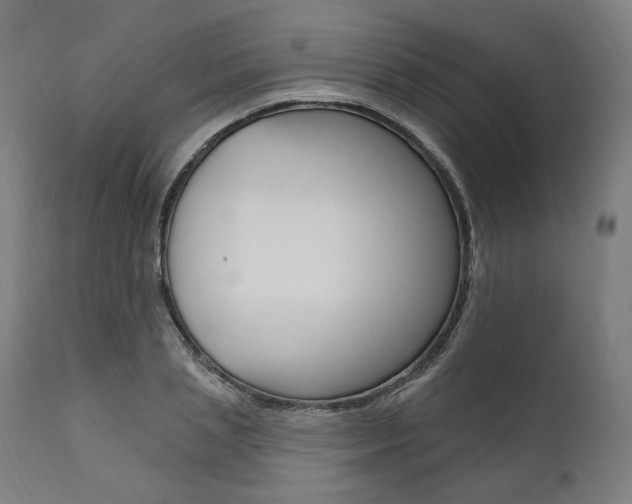 X0000112100837200908041110