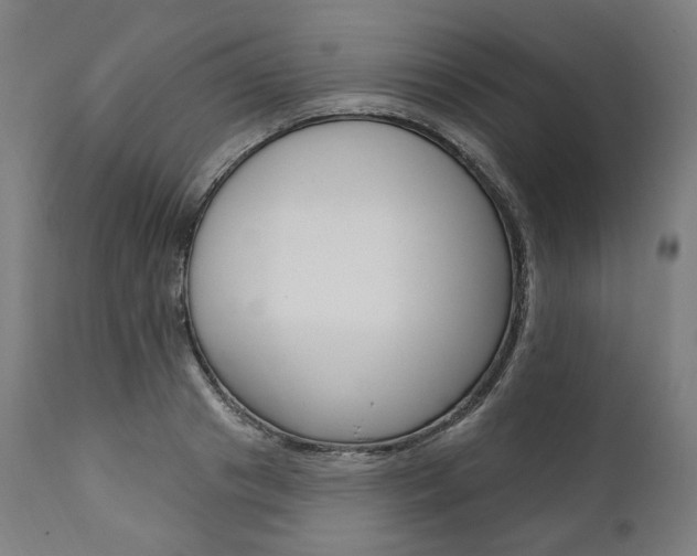 X0000112100841200908041110
