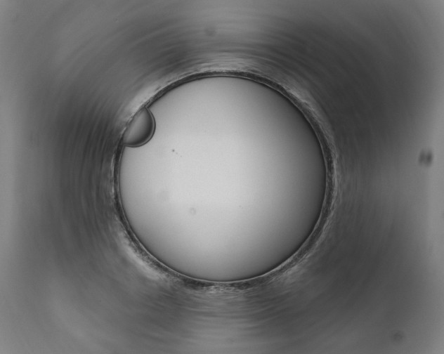X0000112100842200908041111