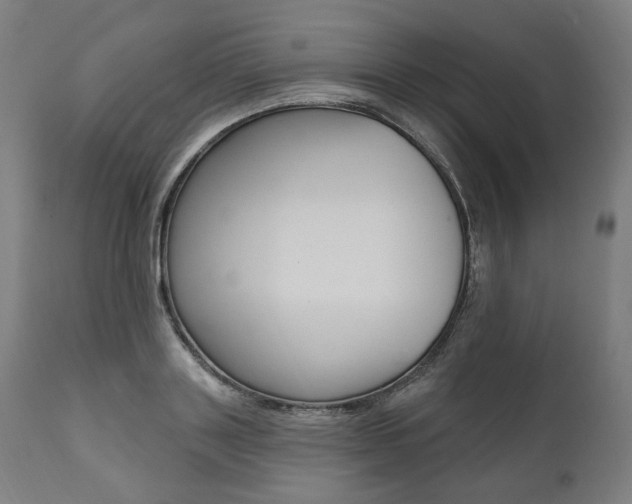 X0000112100843200908041111