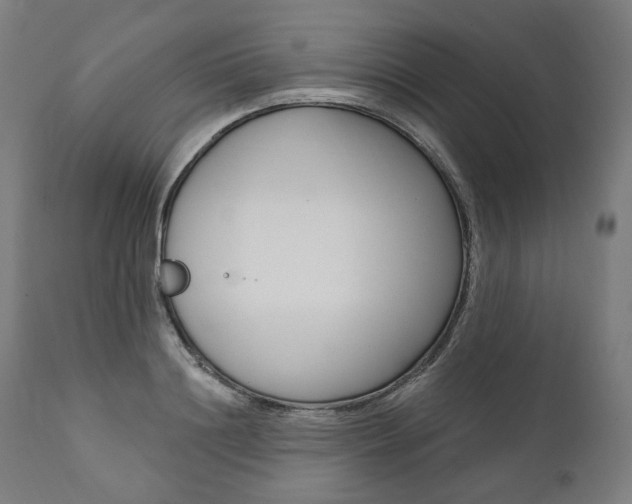 X0000112100844200908041111