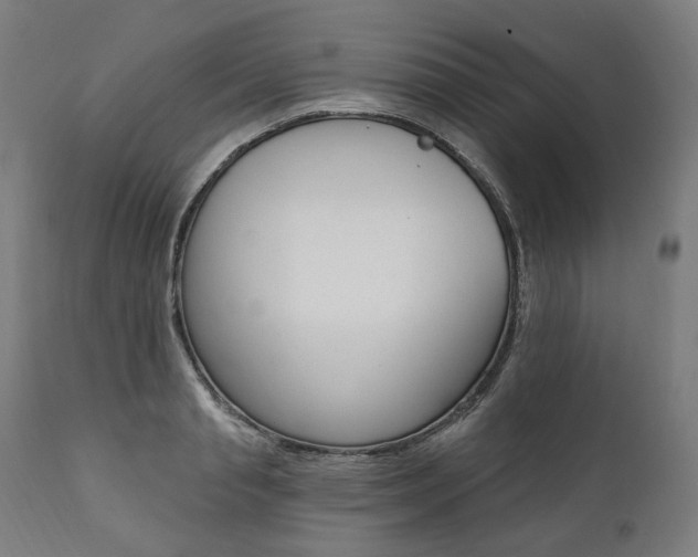 X0000112100845200908041111