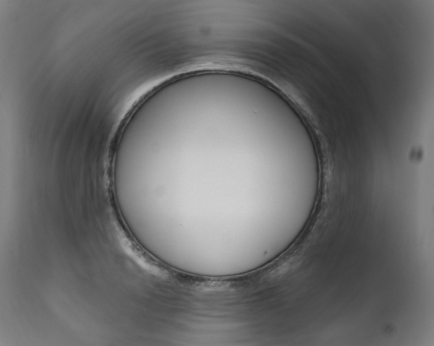 X0000112100846200908041111
