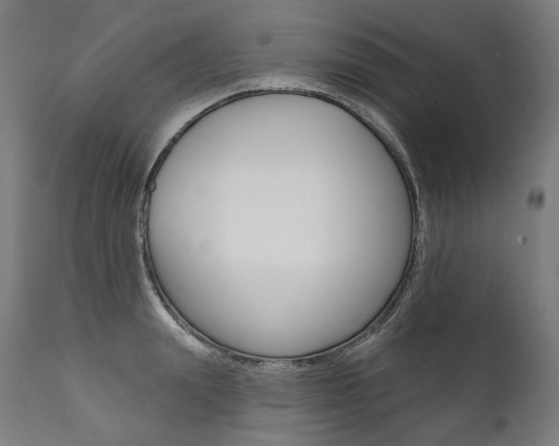 X0000112100847200908041111