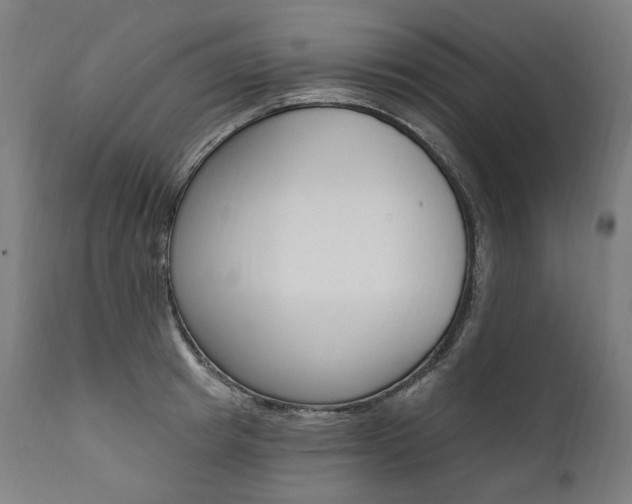 X0000112100849200908041111