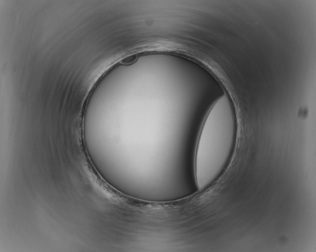 X0000112100850200908041111