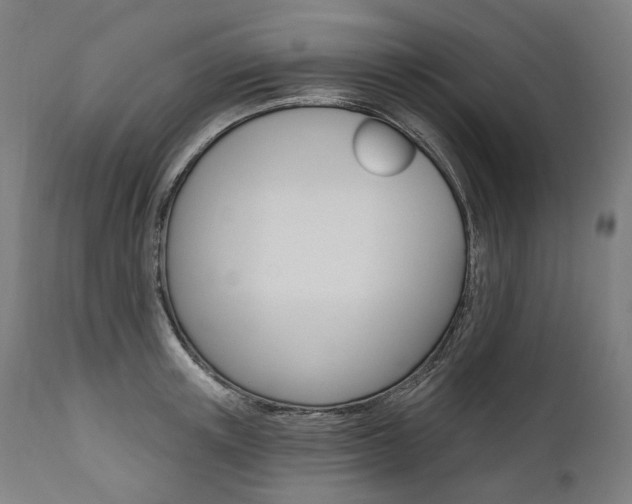 X0000112100851200908041111