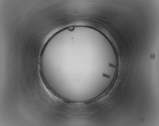 X0000112100853200908041111