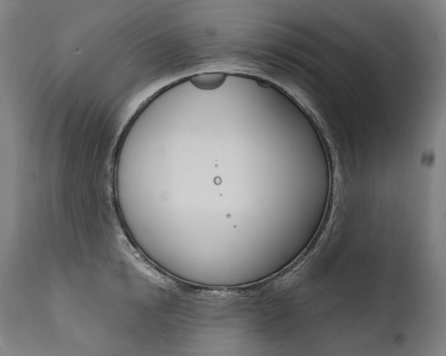 X0000112100854200908041111
