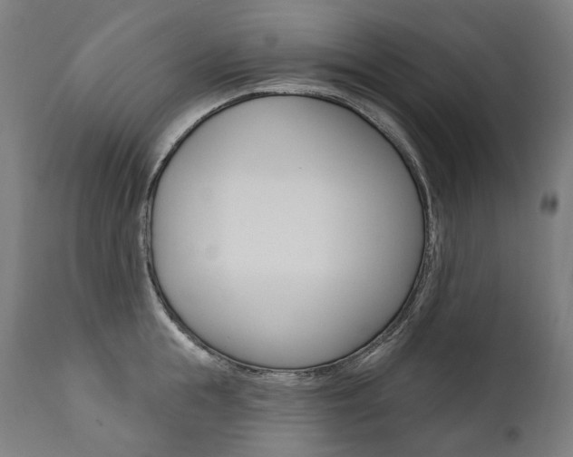 X0000112100855200908041111