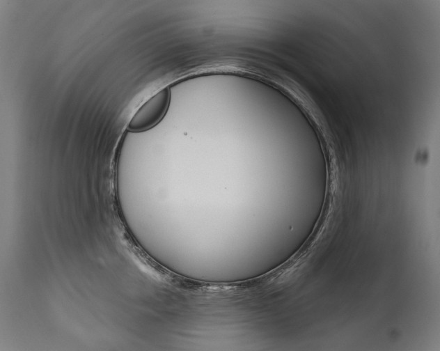 X0000112100858200908041111