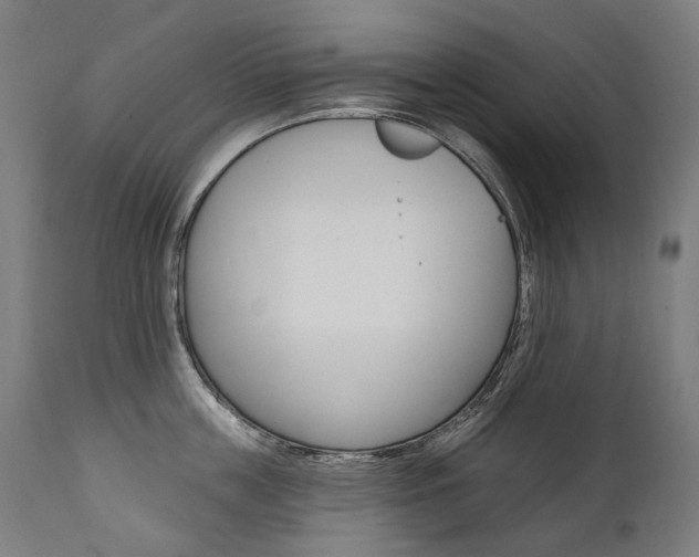 X0000112100859200908041111