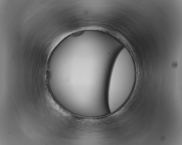 X0000112100860200908041111