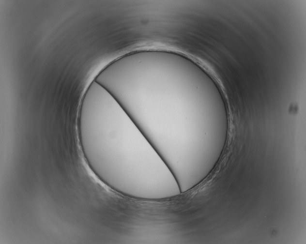 X0000112100863200908041111
