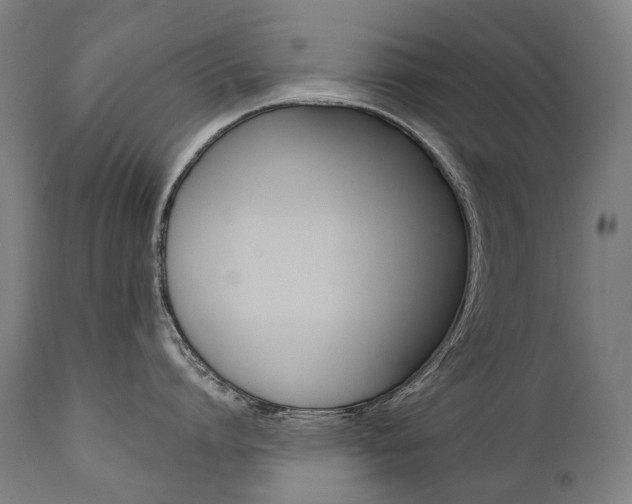 X0000112100864200908041111