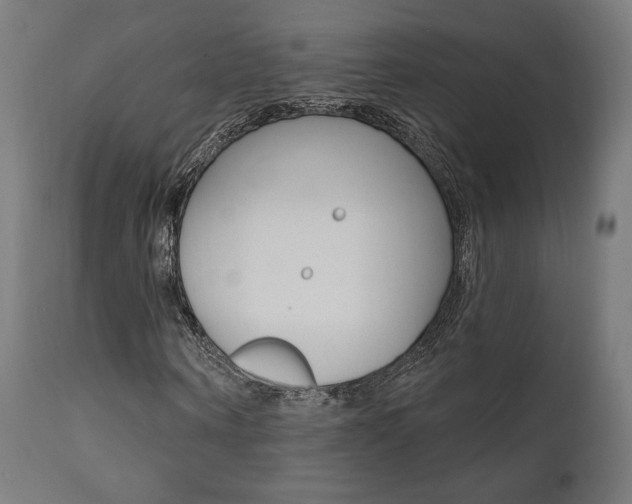 X0000112100866200908041110