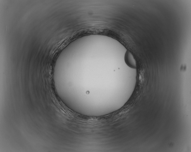 X0000112100867200908041110